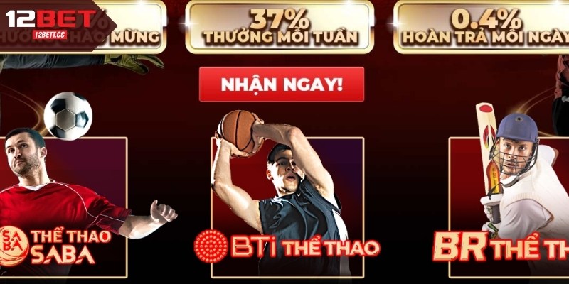 12Bet Cập Nhật Đầy Đủ Dịch Vụ Cá Độ 