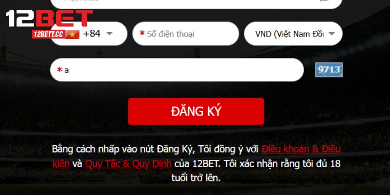 Kiểm Tra Và Xác Nhận Lại Thông Tin Đăng Ký Vào Nhà Cái 12BET